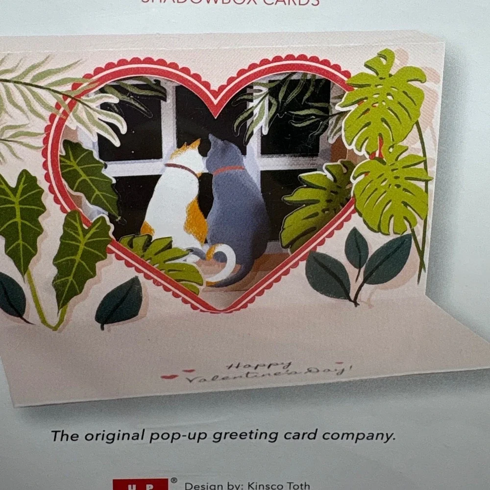 3 Shadowbox Cards Valentines Day Romantic Bouquet Love‎ Birds Cats UP With Paper